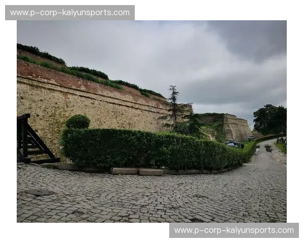 极简美学碰撞巴尔干风暴:当日本遇上塞尔维亚,一场关于意志与灵魂的终极博弈 极简美学碰撞巴尔干风暴:当日本遇上塞尔维亚,一场关于意志与灵魂的终极博弈